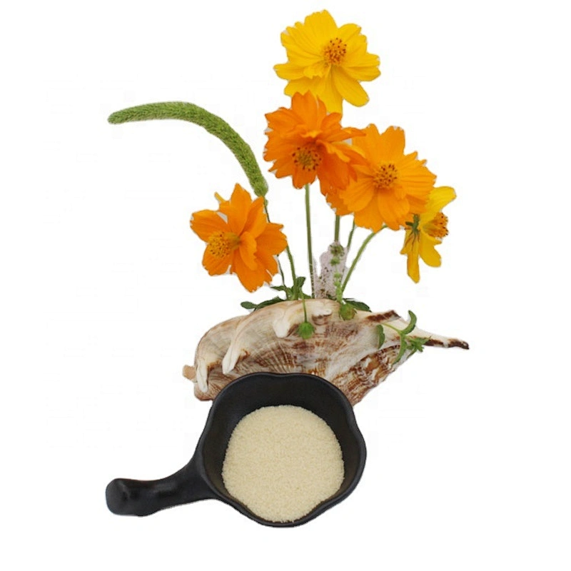 gelatine 260 bloom Best Price Food Additive Smooth High Quality